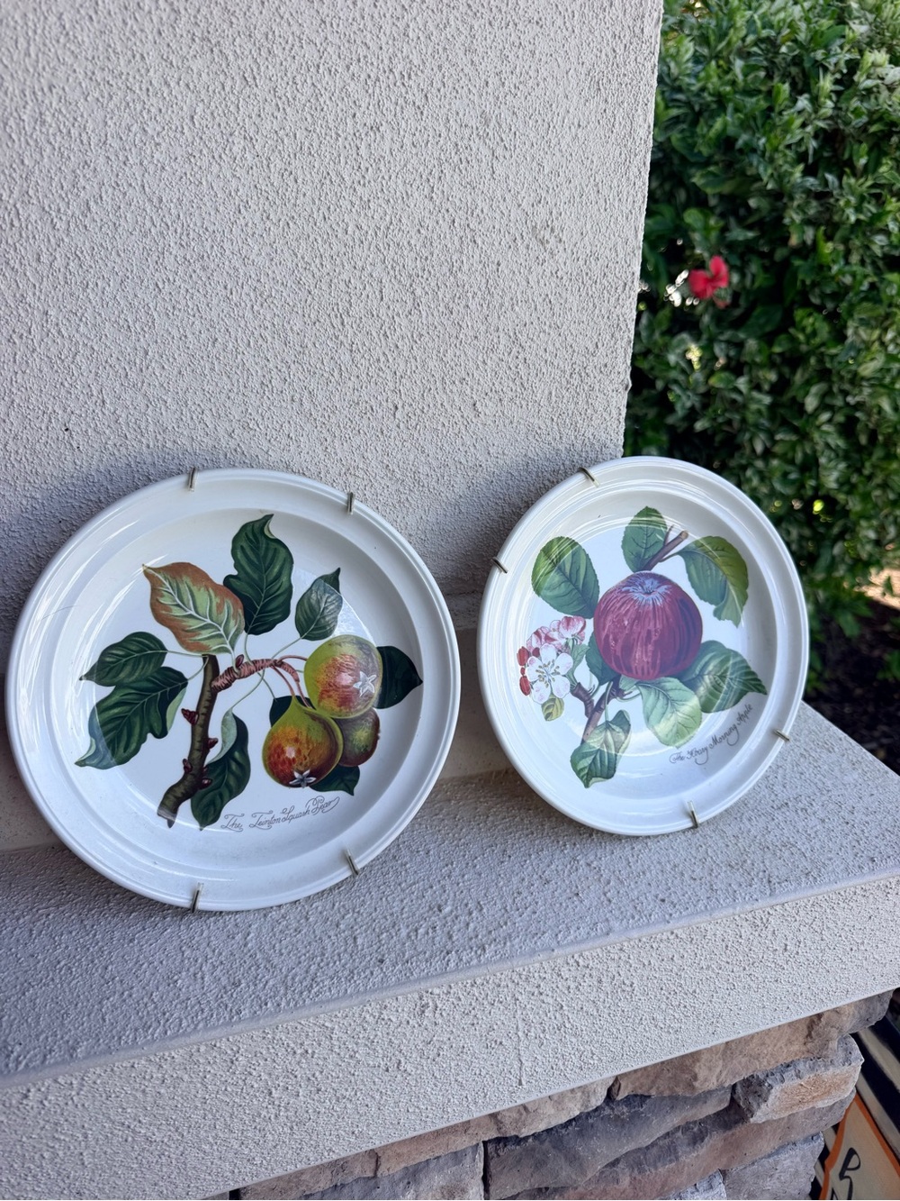 Portmeirion Pomona 8.5” Plates Hoary Morning Apple Teinton Squash Pear Set 2